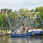 OTRA2014_1525 (September 03, 2014)